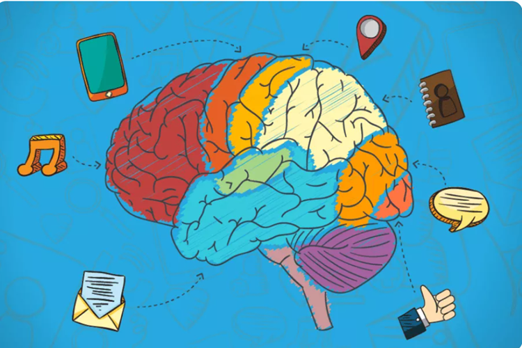 🔴 موشن گرافی‌ بامحوریت رسانه و ذهن: 